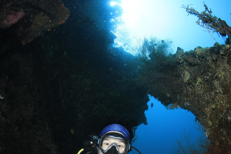 Bali/Nusa Penida: 3 Fun Dives to Manta Point, Mola & Reef Fun Dive with Hotel Transfer (3 Dives)