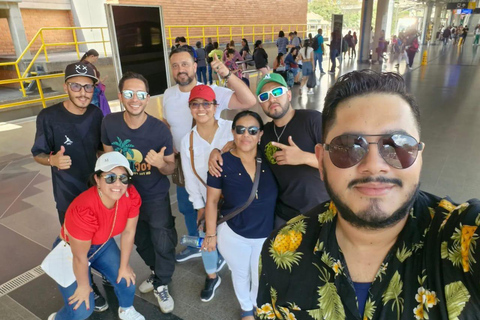 麦德林：13区/拉帕尔马观景台，从街头艺术到天空/私人麦德林；13区和涂鸦私人之旅，当地导游