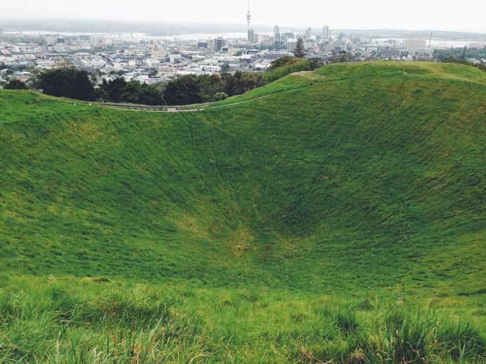 Auckland Private City Tour with Mount Victoria and Mt. Eden GetYourGuide
