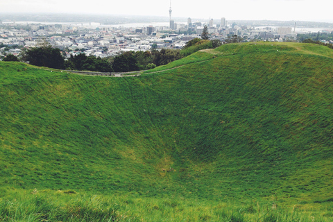 Auckland: En privat Privat tur i staden med Mount Victoria och Mt. Eden