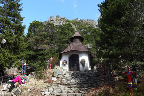 Montañas Tatra + Bienestar - La cima de Eslovaquia desde Bratislava