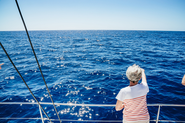 Funchal: osservazione di delfini e balene in catamarano di lusso