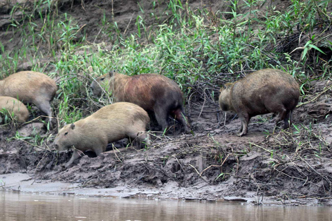 Lago Sandoval Día Completo