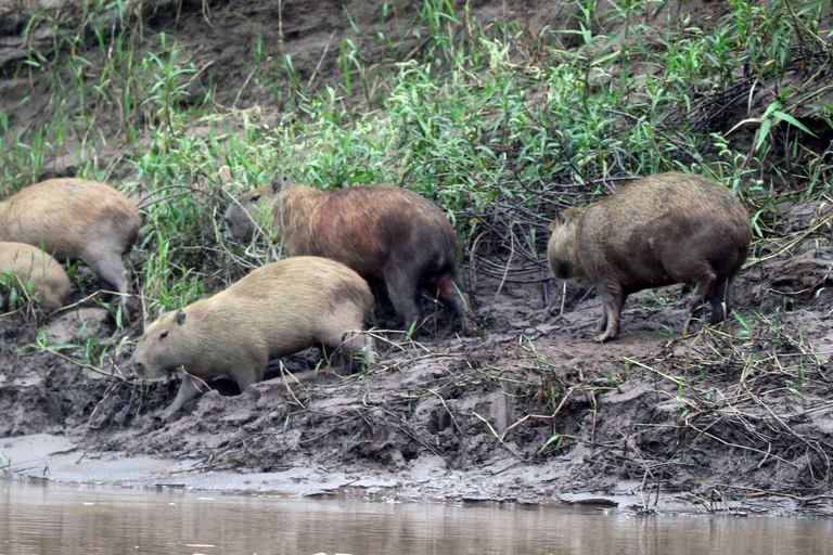 Lago Sandoval Día Completo