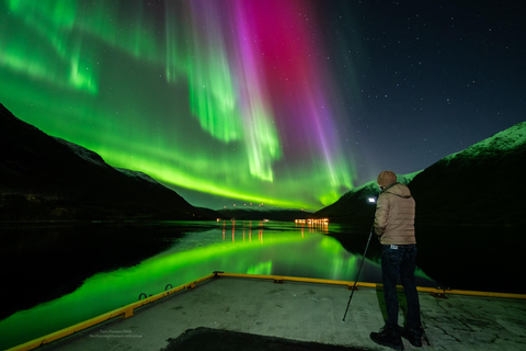 Tromsø:Northern Lights Tour with Photo and Suits.Local Guide Tromsø: Northern Lights Tour with Photos and Warm Suits