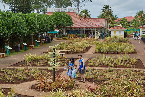 Oahu: Haleiwa &amp; Dole Plantation Deluxe Tour