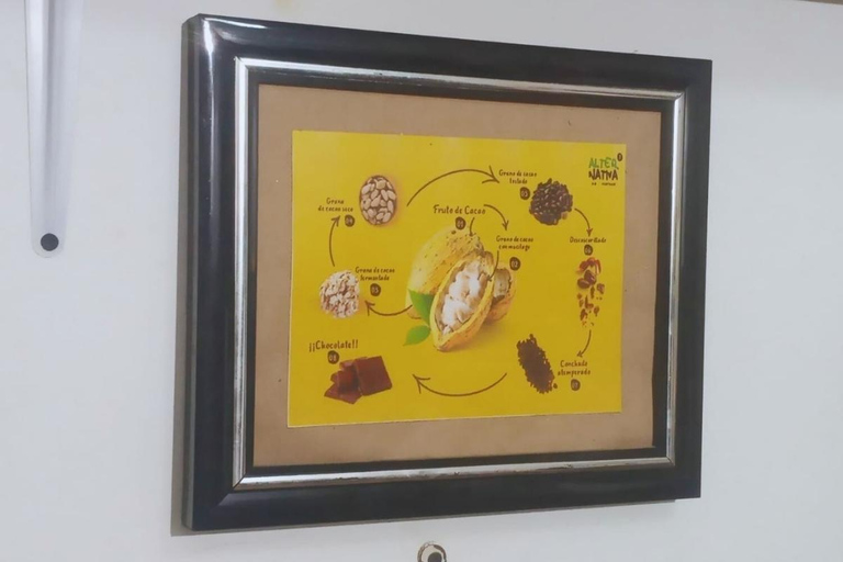 Wycieczka po mieście Minca: historia, muzea i przyrodaWycieczka po miejscowości Minca: historia, muzea i przyroda