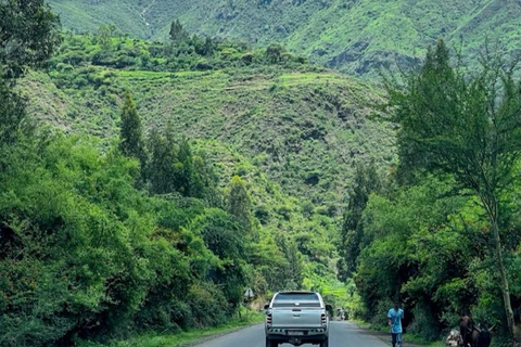 From Addis Ababa: 4-Day Alatish National Park Safari