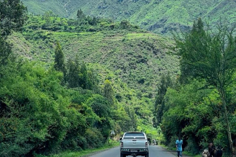 From Addis Ababa: 4-Day Alatish National Park Safari