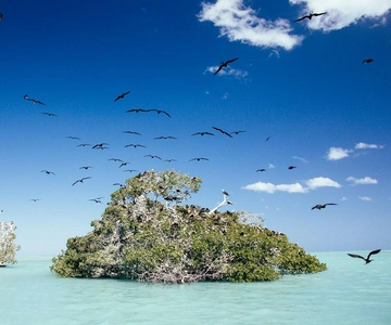 Tulum: SIAN KAAN biosfeer rondvaart, dolfijnen, snorkelen