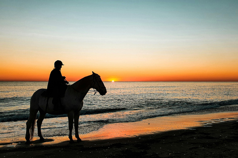 San Alfredo: Nature Horse Riding Experience