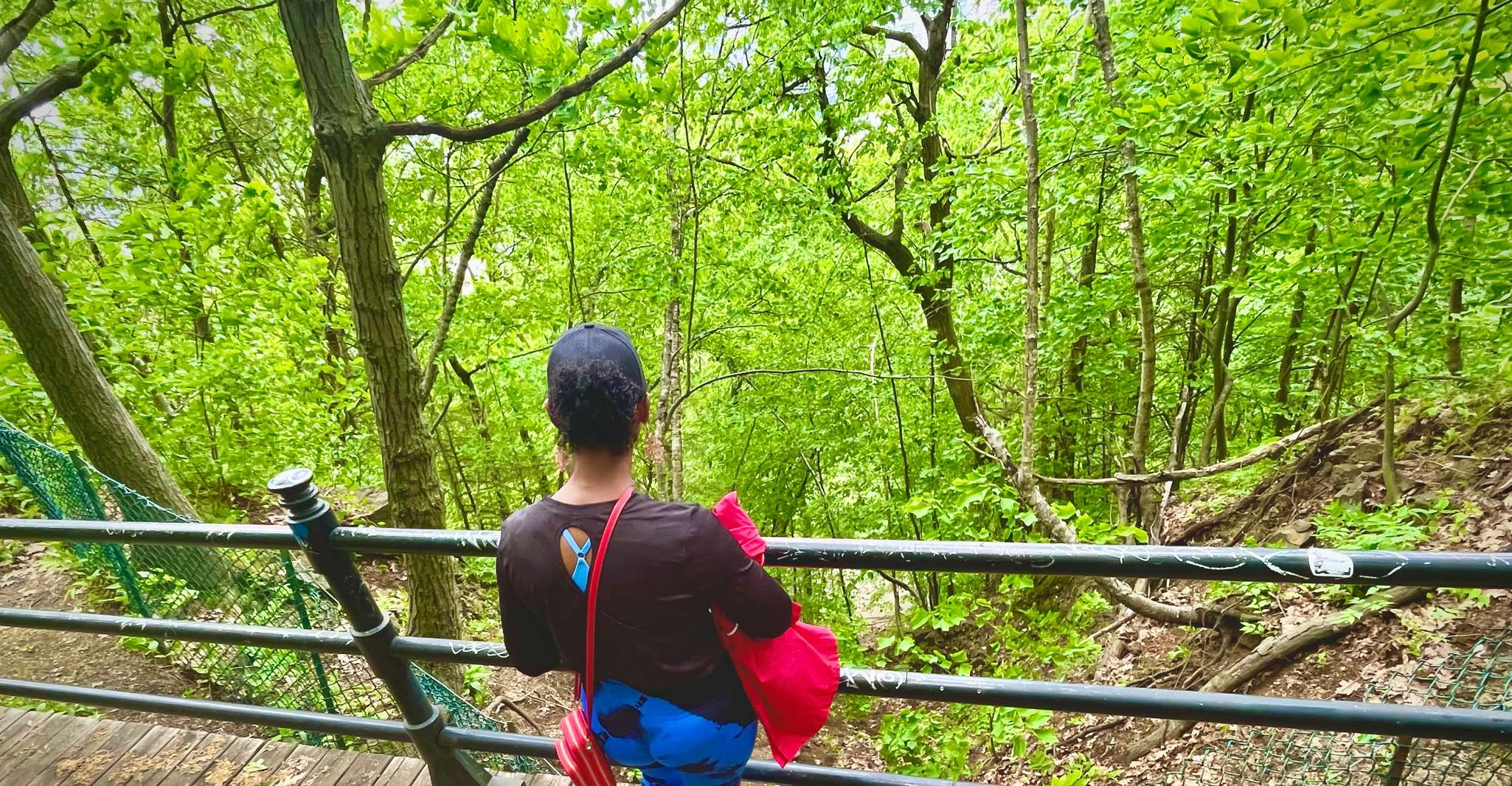 Montreal's Mount Royal Tour photo 14