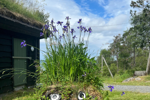 BERGEN I Fløyen Activo - Naturaleza Mágica - Excursión de senderismo