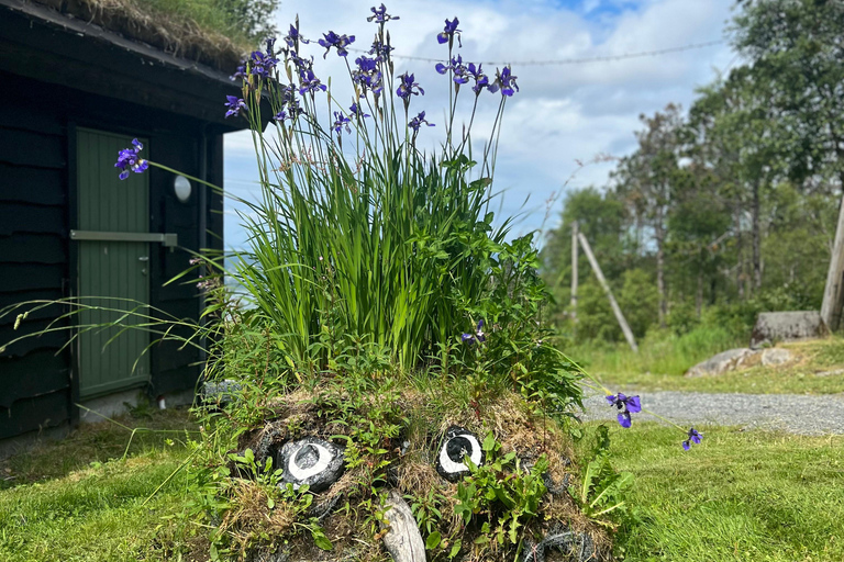 BERGEN I Fløyen Activo - Magische Natuur - Wandeltocht