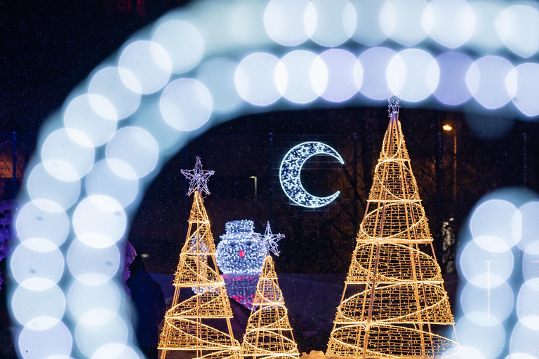 Rovaniemi: SnowGlow Winterpark Entry Ticket