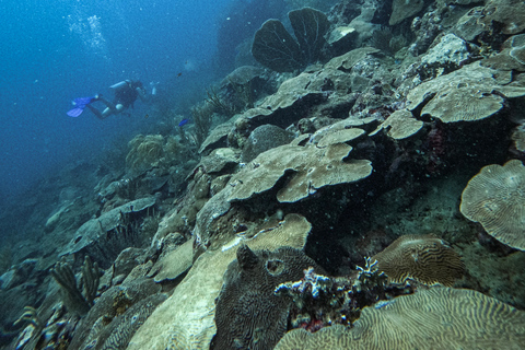 Parque Nacional Tayrona: Descubre la experiencia del submarinismoTour privado en inglés