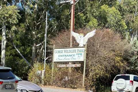 Desde Adelaida: Abraza a un Koala y Visita Histórica a Hahndorf