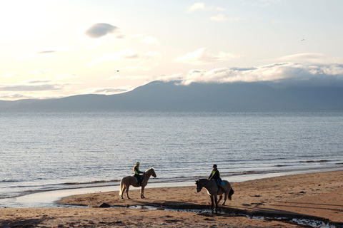 Saint John: Coastal Countryside Horseback Adventure