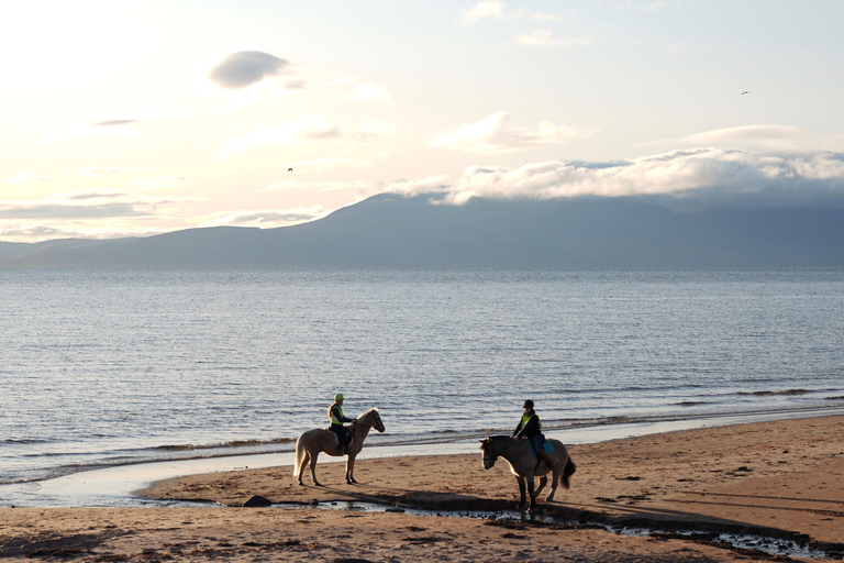 Saint John: Coastal Countryside Horseback Adventure