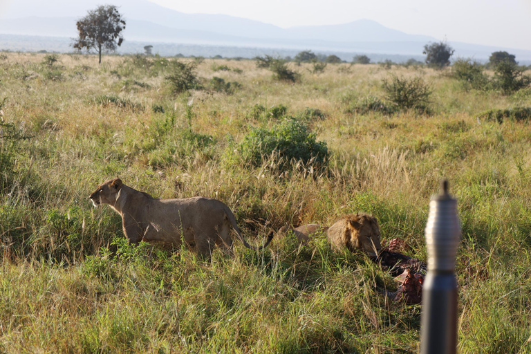 3 days 2 nights safari from Mombasa and Diani