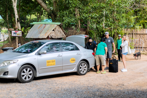 Phuket: Santuario de Elefantes Aventura de Alimentación de Gigantes Gentiles