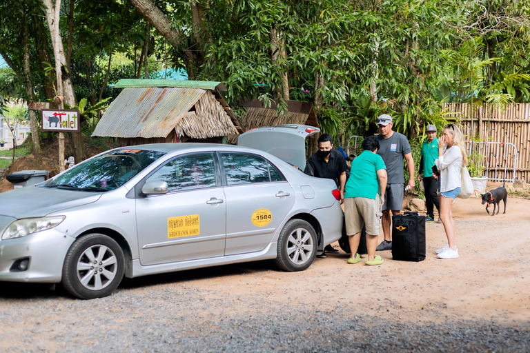 Phuket: Aventura de alimentação dos gigantes gentis do santuário de elefantes