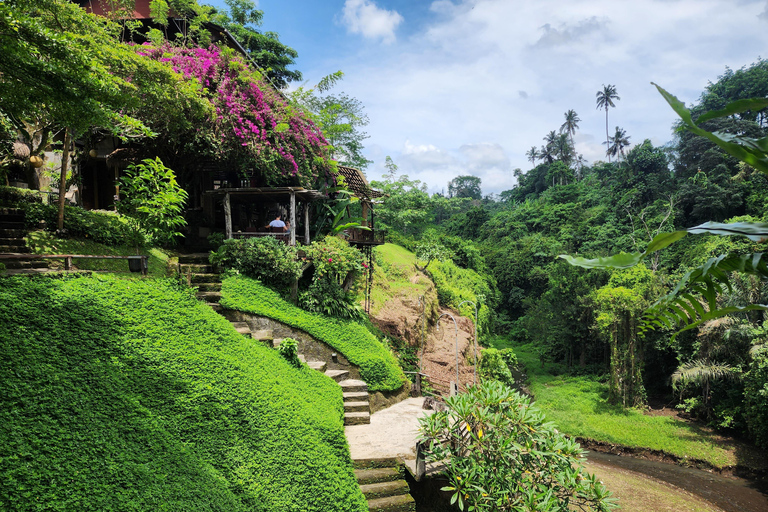 Ubud: Hidden Waterfalls, Rice terrace & Cliffside Dining