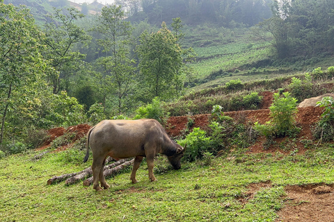 2-Day Sapa City Tour & Discover Fansipan Mountain From Hanoi