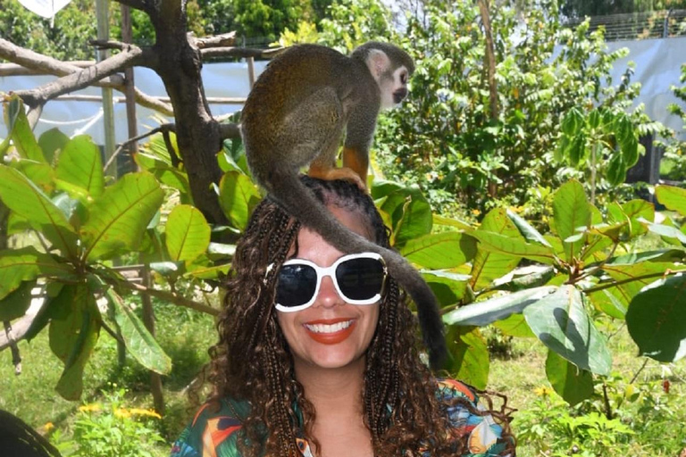 Puerto Plata: Exclusive Monkey Tour for Cruise Passengers