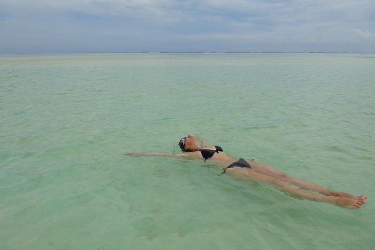 Zanzibar:Mnemba Dolphin Spotting+Aquarium+ Kendwa Beach Escp