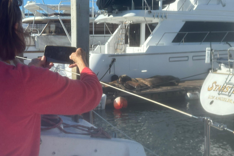 Los Angeles: Marina del Rey Kreuzfahrt auf einem klassischen Segelboot