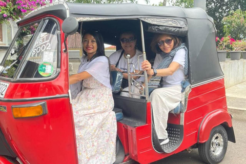 Kandy: Tuk Tuk Driving - Training Session (2 Hours)