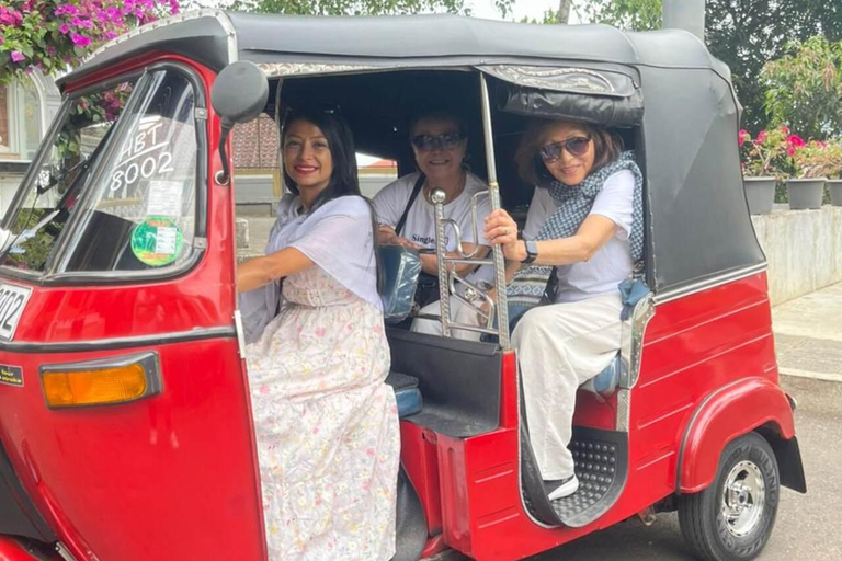Kandy: Tuk Tuk Driving - Training Session (2 Hours)