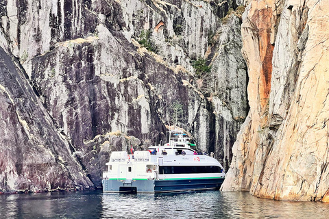 Stavanger: Fjord Cruise to Lysefjord and Pulpit Rock