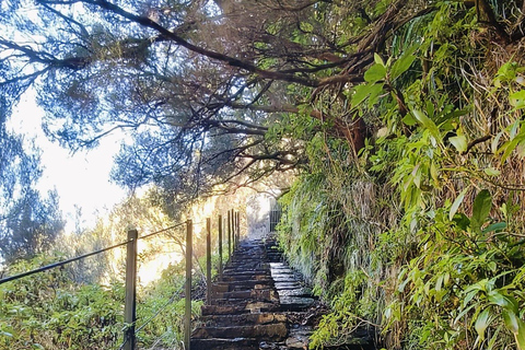 Madeira: 25 Fontes & Risco Guided Hike Rabaçal
