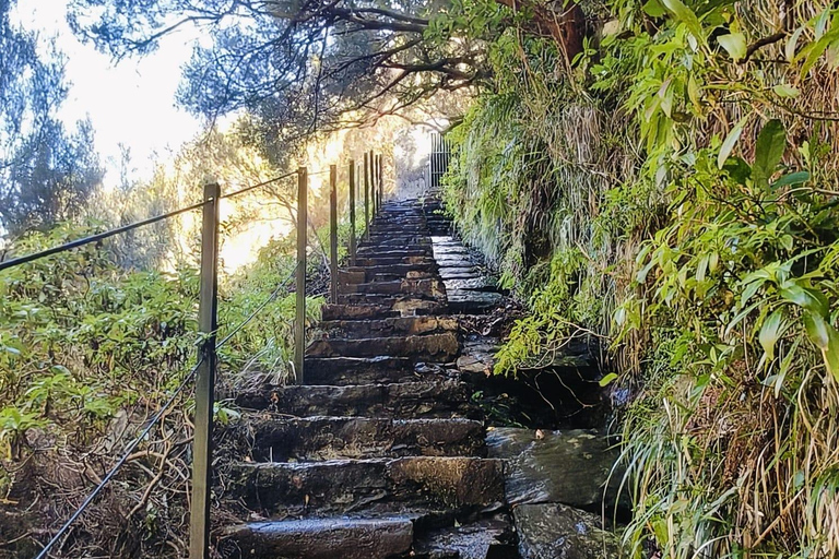 Madeira: 25 Fontes & Risco Guided Hike Rabaçal