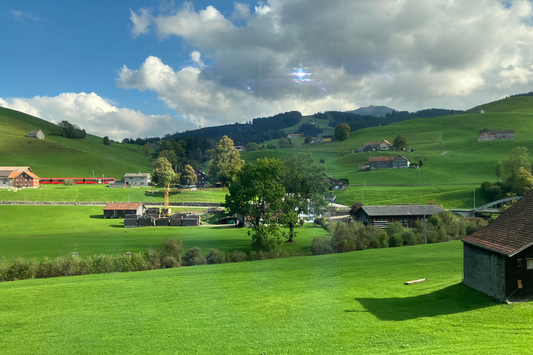 Train to Abbey Library & Appenzell: Culture, Cheese & Views Including all Tickets