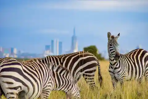 Nairobi: National Park Half-Day Group Trip with Pickup
