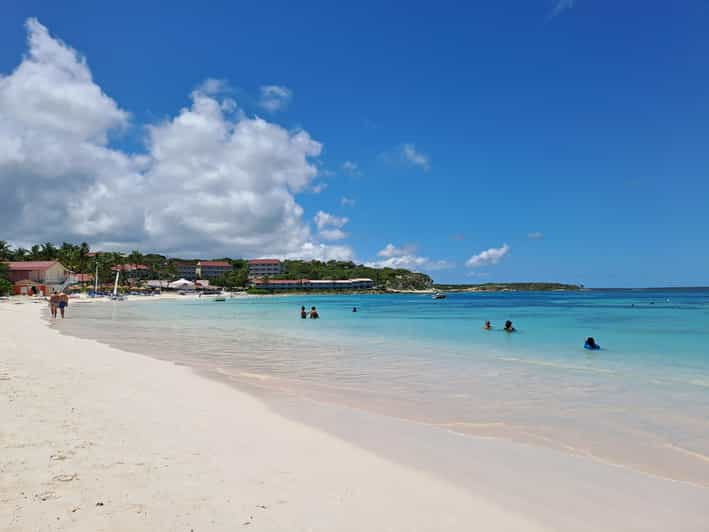 6-Hours Guided Stingray Tour in the East Coast of Antigua | GetYourGuide