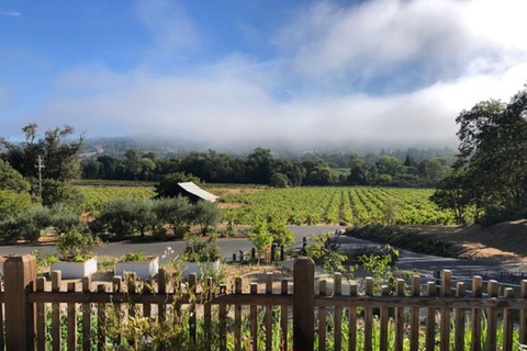 San Francisco: Tour de 5 días por la región vinícola y la costa solo para mujeresOcupación individual