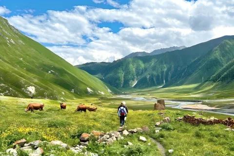 Tbilisi: Kazbegi Gudauri Ananuri and Truso Adventure by 4x4