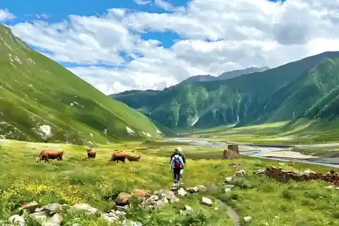 Tbilisi: Kazbegi Gudauri Ananuri e Truso Avventura in 4x4