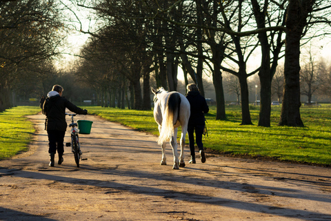 Windsor: Horse Riding Adventure Through Great Park 2-Hour Horse Riding Adventure Through Great Park
