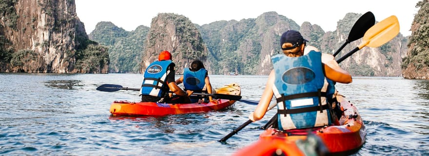 Baie d'Halong : croisière d'une journée au départ du port d'Halong