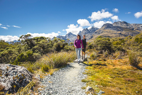 From Te Anau: Milford Sound Cruise & Key Summit Hike