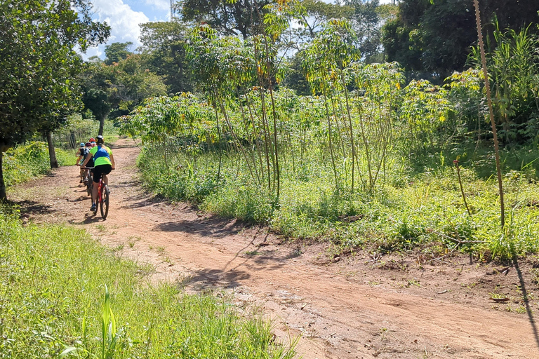 Kampala: Mountain Bike Tour - 3 hours 4 hrs MTB Bike tour across lake Victoria peninsula