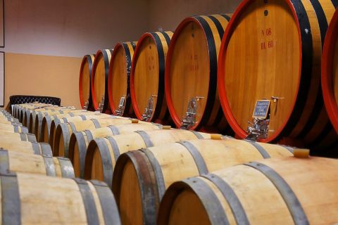Da Siena: tour guidato del vino Brunello di Montalcino con pranzo