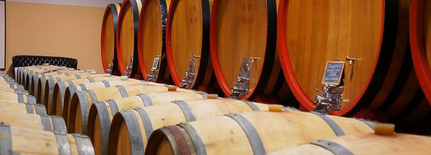 Brunello di Montalcino Full-Day Wine Tour with Tastings