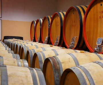 From Siena: Brunello di Montalcino Guided Wine Tour W/ Lunch