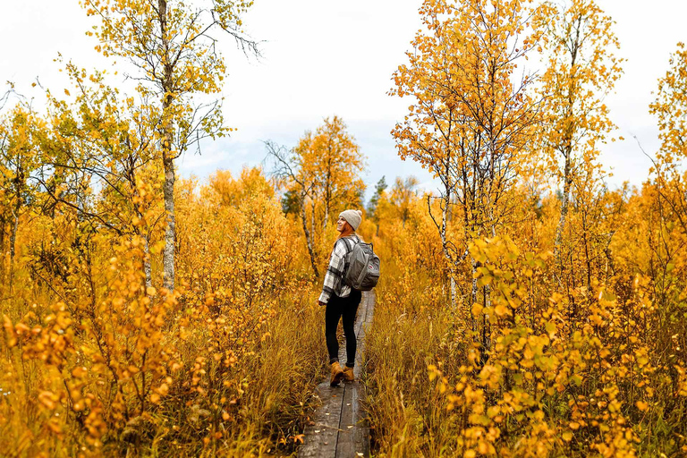 Rovaniemi: Guided tour in Arctic Circle Trekking area